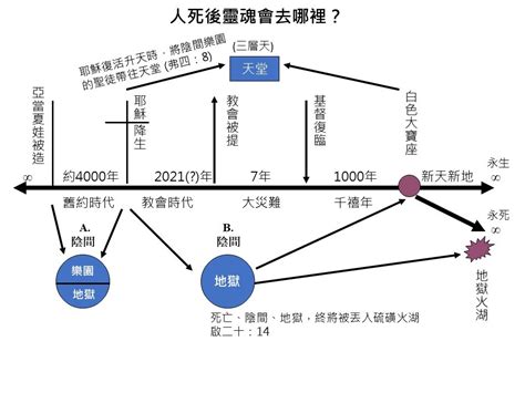 貓死後會去哪裡